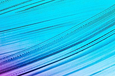 《废土3》玩家达到200万 官方发推致谢